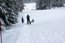 Alta Val Badia (146), Sci Alpino (290)